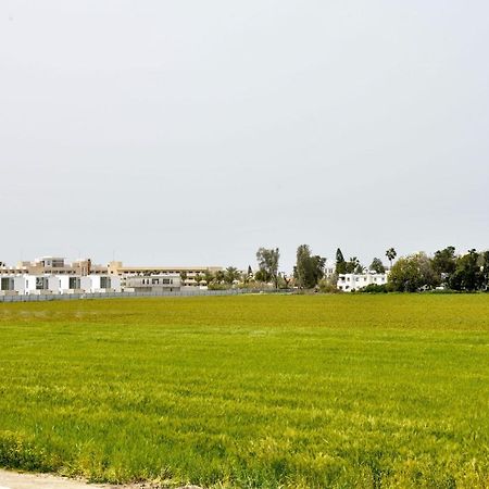 The Room, Suite 14, Leda Gardens Pafos Exterior foto